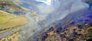 INCENDIO FORESTAL EN CHALLHUAHUACHO ARRASA MÁS DE 3 HECTÁREAS DE VEGETACIÓN