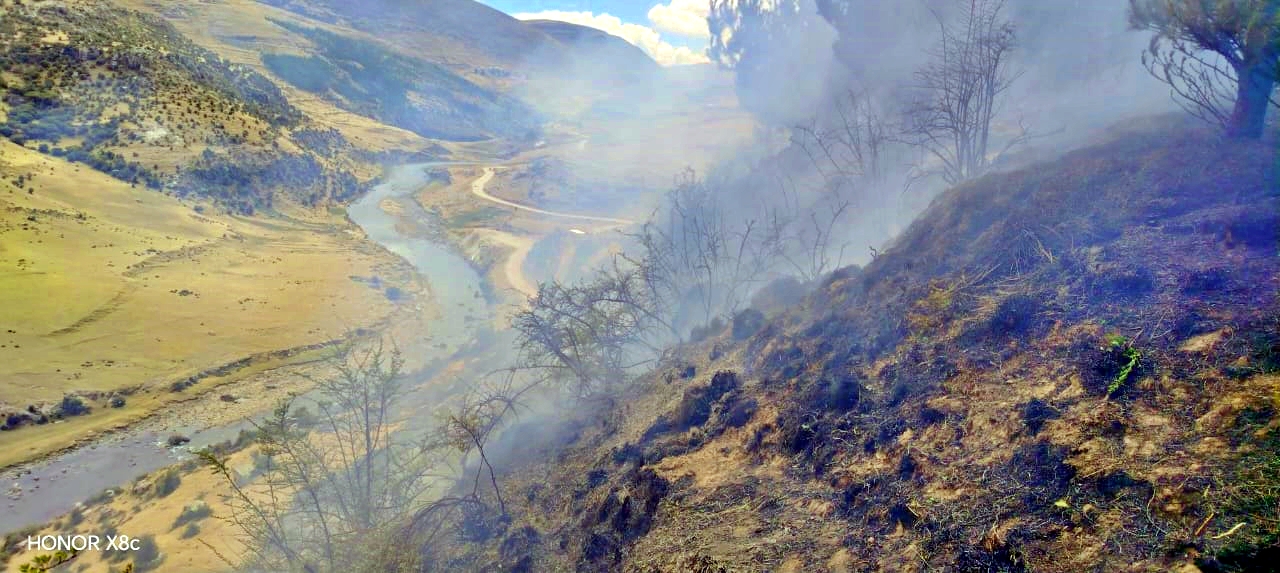 INCENDIO FORESTAL EN CHALLHUAHUACHO ARRASA MÁS DE 3 HECTÁREAS DE VEGETACIÓN