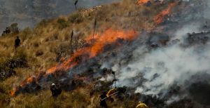 APURÍMAC REGISTRA 79 INCENDIOS FORESTALES. COTABAMBAS CONCENTRA EL MAYOR NÚMERO DE SINIESTROS DE