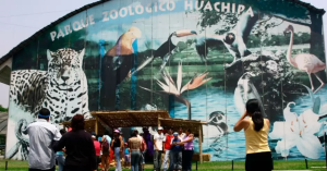 PROPONEN LA ELIMINACIÓN PROGRESIVA DE LOS ZOOLÓGICOS PÚBLICOS EN EL PERÚ